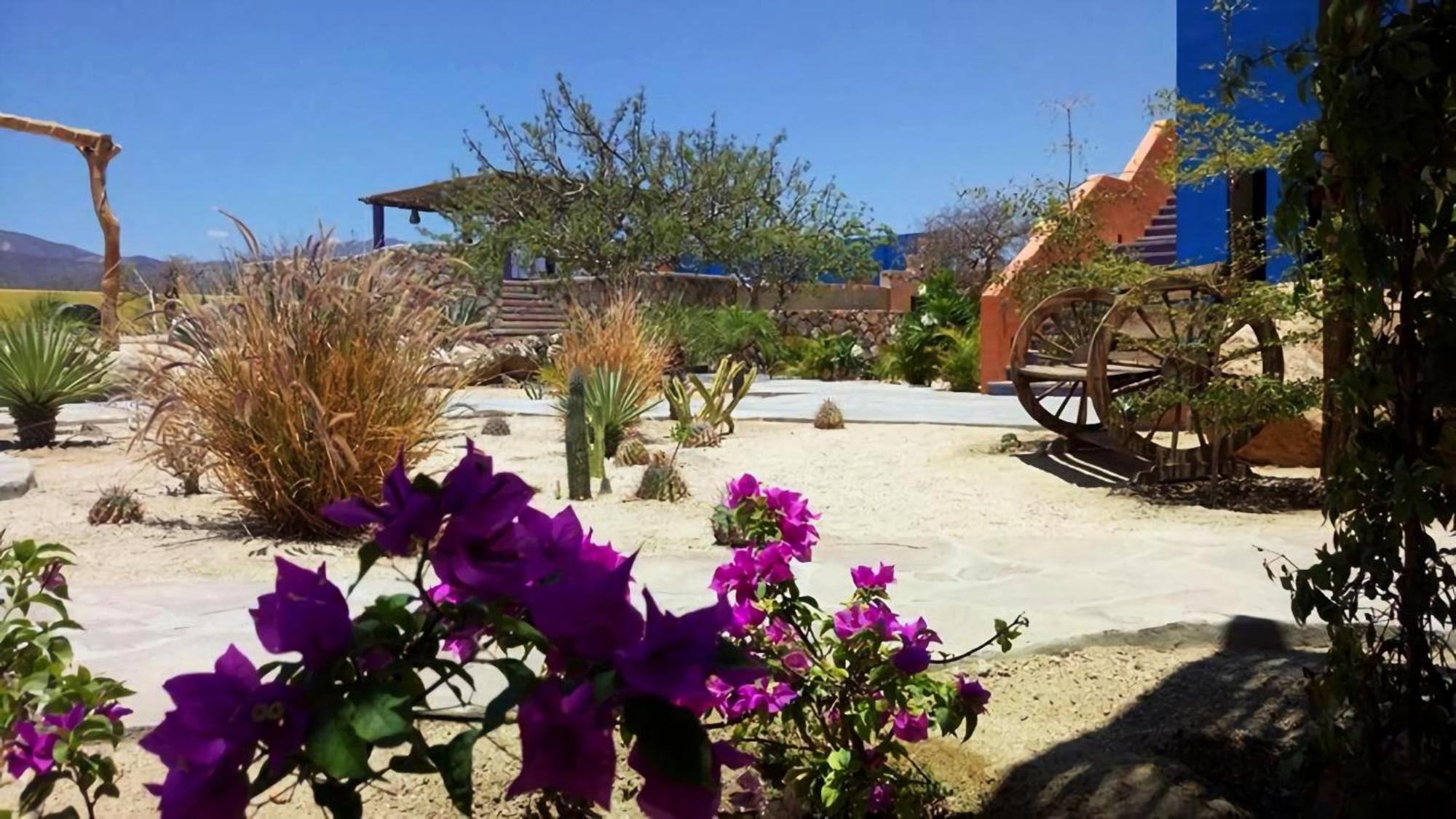 Hotel Boutique Las Terrazas El Cardonal Екстер'єр фото
